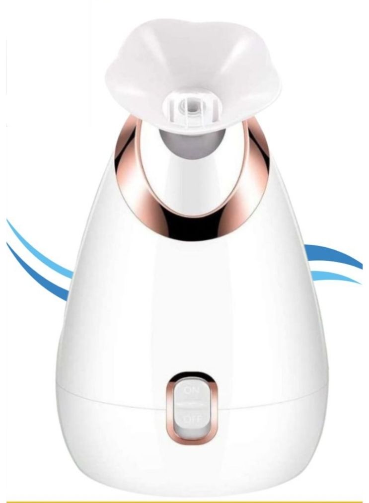 دستگاه بخور گرم صورت